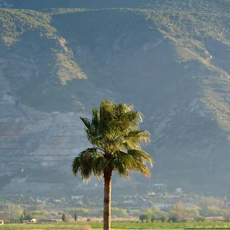 Bellas Vistas